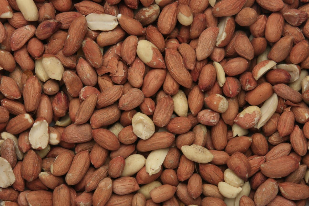 Copdock Mill Peanuts for Wild Birds - Peanut Kernels Bird Feed 20kg - High In Energy, Protein Rich Wild Bird Peanuts - Bird Seeds for Small Garden Birds