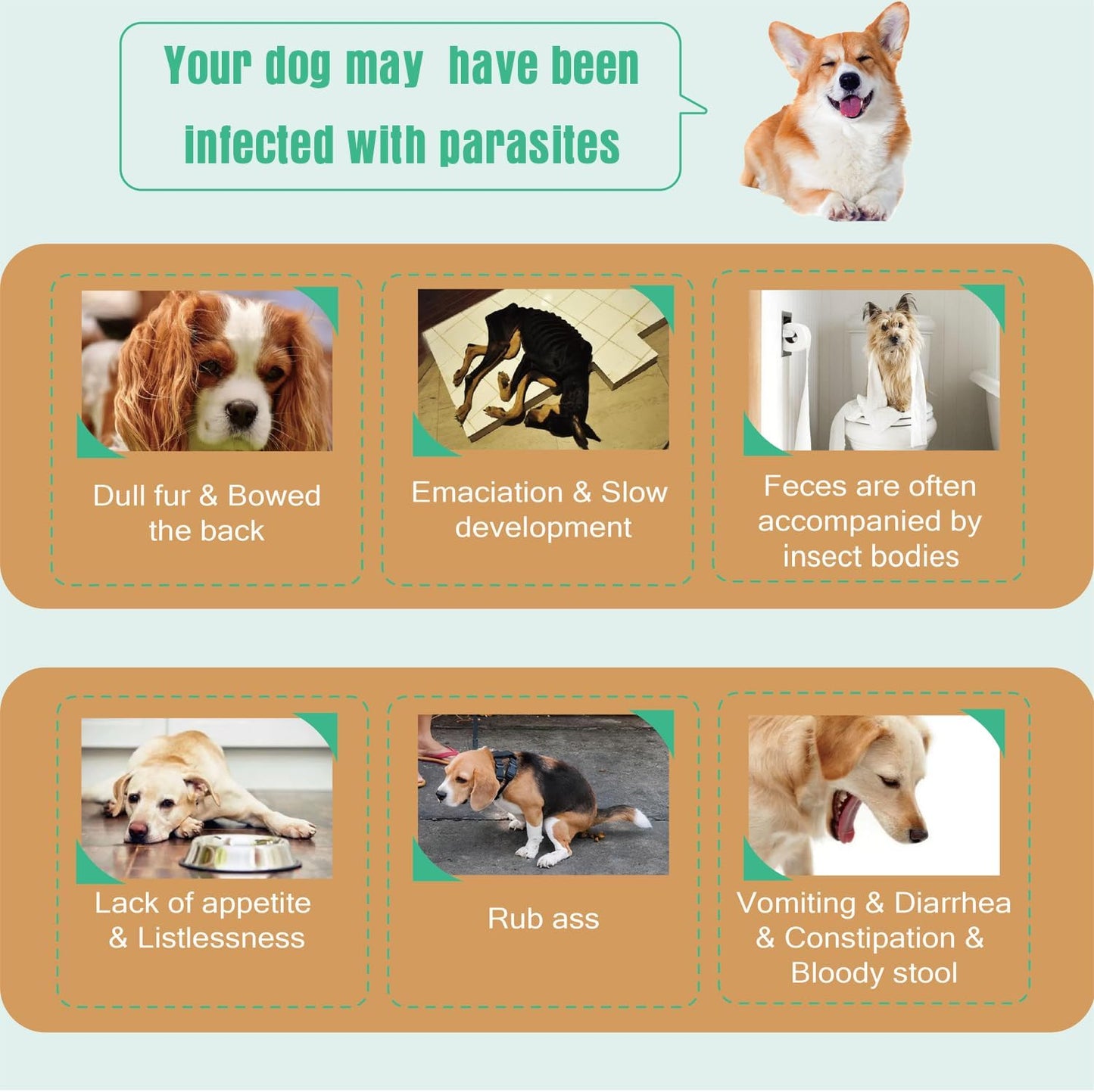 Natural Spot on Flea and Tick Treatment for Dogs, Flea and Tick Prevention for Dogs, Dog Flea Treatment, Fast Acting & Waterproof, 3 Pipettes (2-10kg Small Dogs)