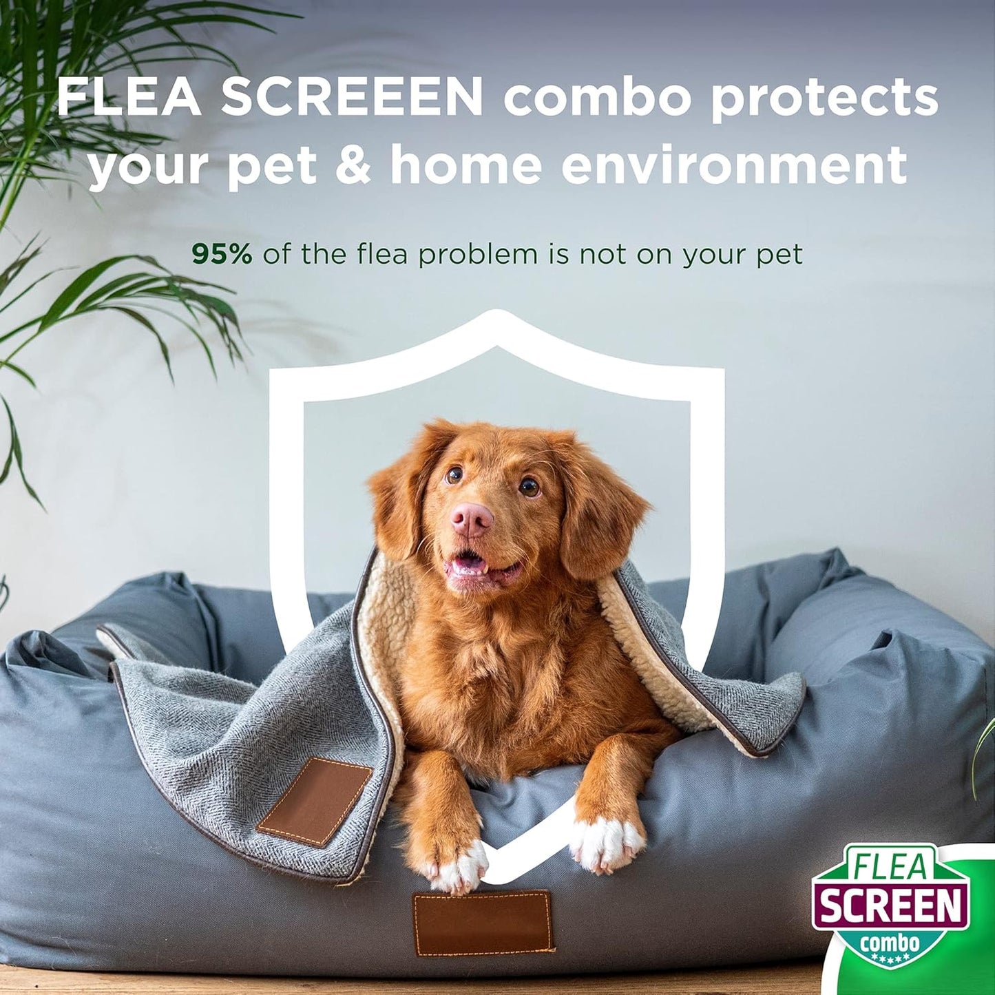 FLEA SCREEN Combo Small Dogs, 3 Pipettes - Spot-On Flea Treatment for Small Dogs & Puppies Over 8 Weeks Old (2-10kg) - Kills Fleas, Flea Eggs, Ticks - Provides Up to 8 Weeks Protection