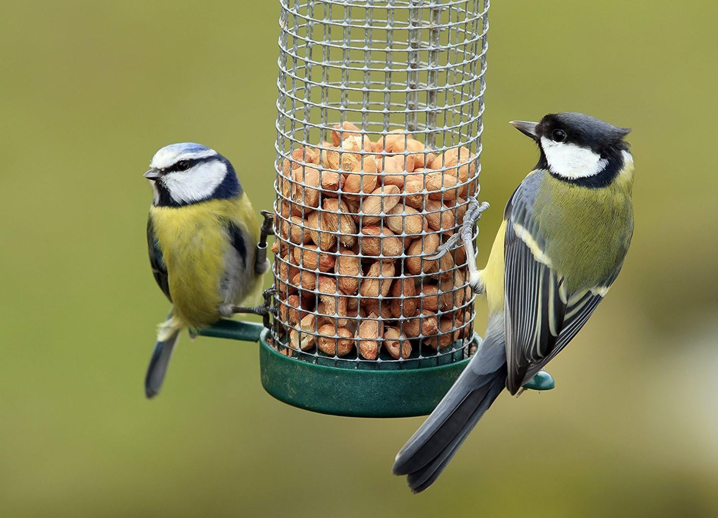 Copdock Mill Peanuts for Wild Birds - Peanut Kernels Bird Feed 20kg - High In Energy, Protein Rich Wild Bird Peanuts - Bird Seeds for Small Garden Birds