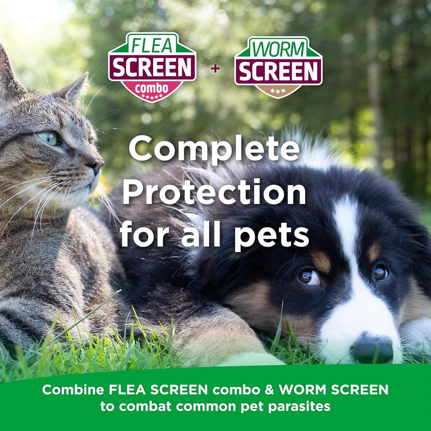 FLEA SCREEN Combo Small Dogs, 3 Pipettes - Spot-On Flea Treatment for Small Dogs & Puppies Over 8 Weeks Old (2-10kg) - Kills Fleas, Flea Eggs, Ticks - Provides Up to 8 Weeks Protection