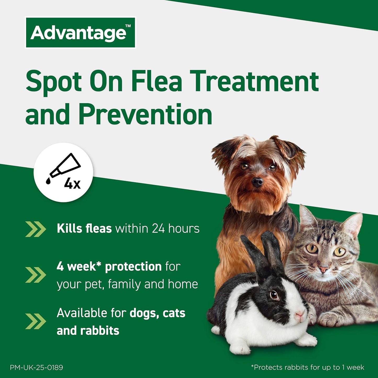 Advantage Spot On Flea Treatment For Cats, Dogs and Rabbits Under 4kg (4 pipettes, 40mg), Kills Fleas Within 24 Hours, Prevents Further Infestation For Up To Four Weeks in Cats and Dogs
