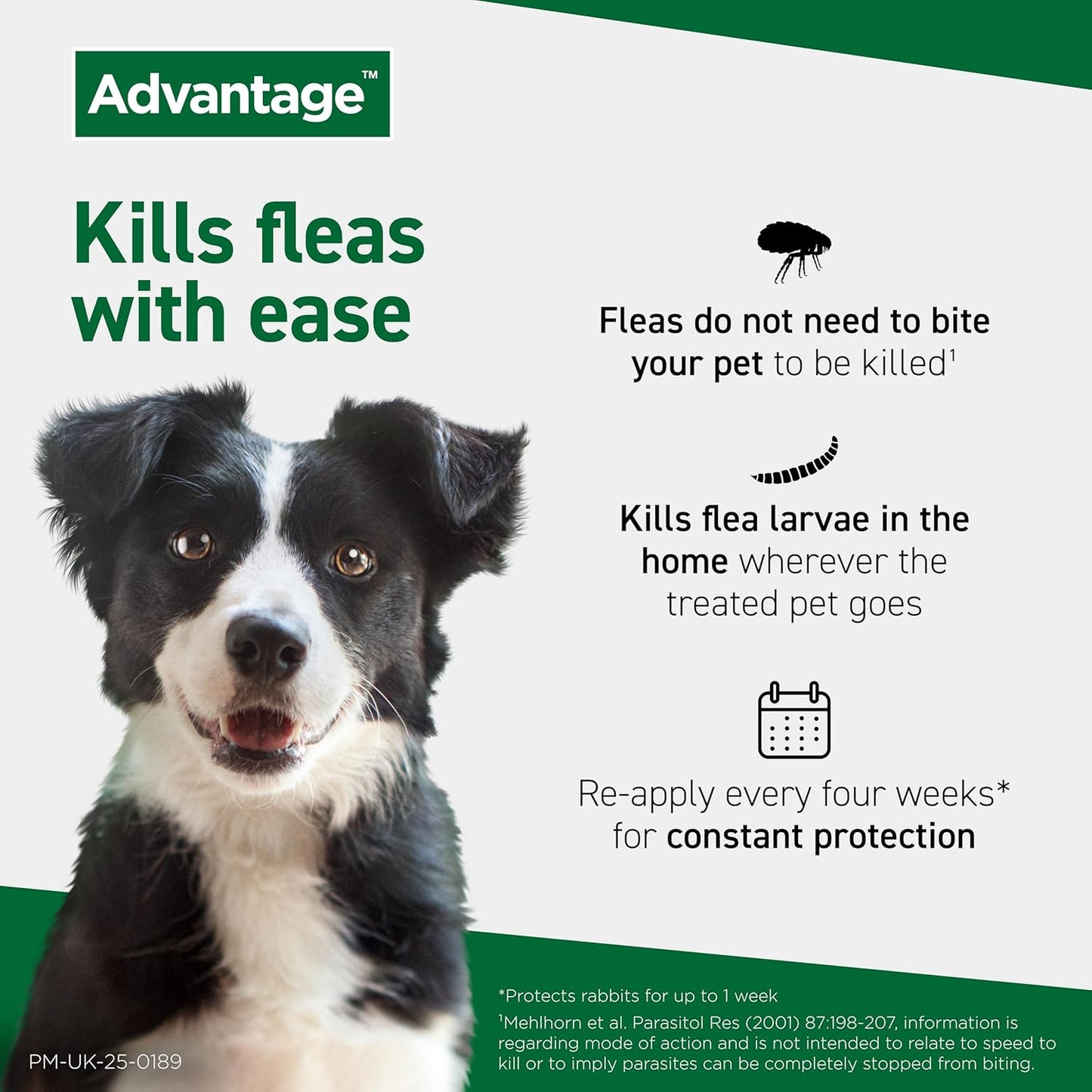 Advantage Spot On Flea Treatment For Cats, Dogs and Rabbits Under 4kg (4 pipettes, 40mg), Kills Fleas Within 24 Hours, Prevents Further Infestation For Up To Four Weeks in Cats and Dogs