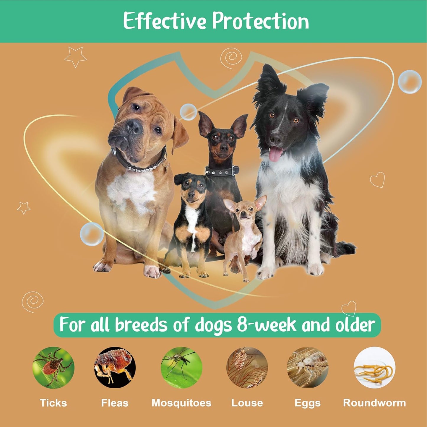 Natural Spot on Flea and Tick Treatment for Dogs, Flea and Tick Prevention for Dogs, Dog Flea Treatment, Fast Acting & Waterproof, 3 Pipettes (2-10kg Small Dogs)