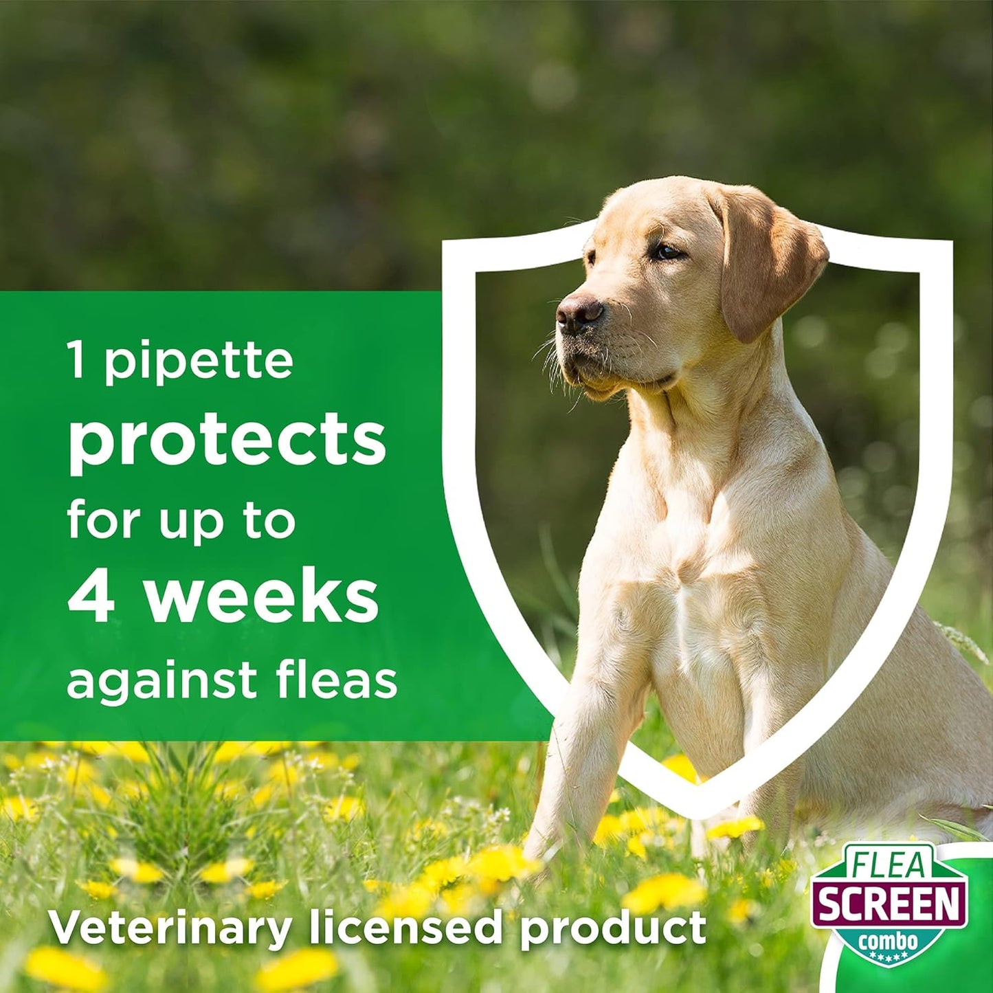 FLEA SCREEN Combo Small Dogs, 3 Pipettes - Spot-On Flea Treatment for Small Dogs & Puppies Over 8 Weeks Old (2-10kg) - Kills Fleas, Flea Eggs, Ticks - Provides Up to 8 Weeks Protection
