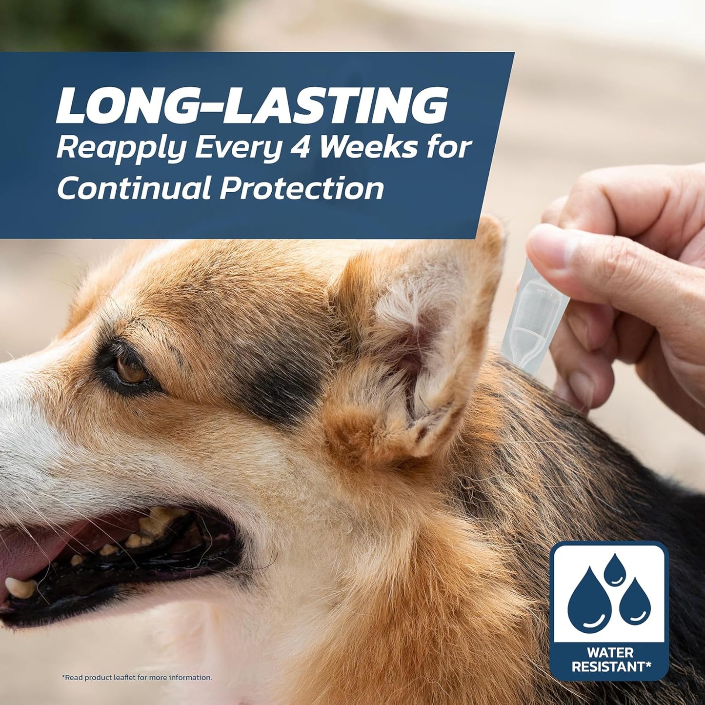 Dog Flea Treatment Small Dog x 6 - Spot on Flea Treatment for Dogs Small 2-10kg - FleaSolve Flea & Tick Solution - 6 x Pipettes - 6 x Doses