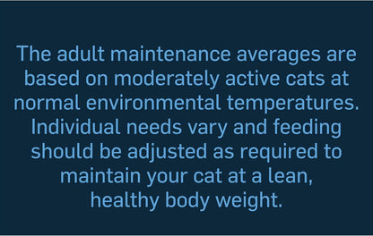 Felix Deliciously Sliced Adult Wet Cat Food Mixed Selection 12x80g