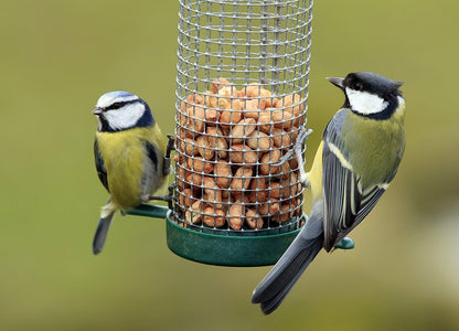 Copdock Mill Peanuts for Wild Birds - Peanut Kernels Bird Feed 20kg - High In Energy, Protein Rich Wild Bird Peanuts - Bird Seeds for Small Garden Birds