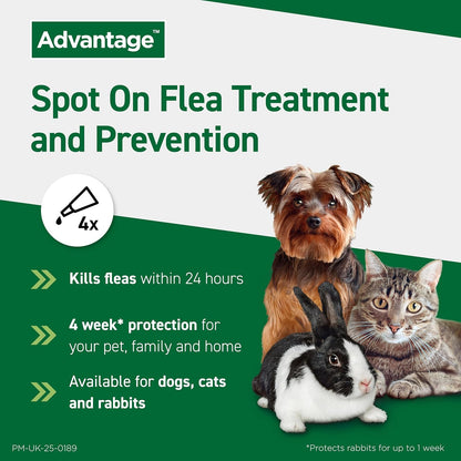 Advantage Spot On Flea Treatment For Cats, Dogs and Rabbits Under 4kg (4 pipettes, 40mg), Kills Fleas Within 24 Hours, Prevents Further Infestation For Up To Four Weeks in Cats and Dogs
