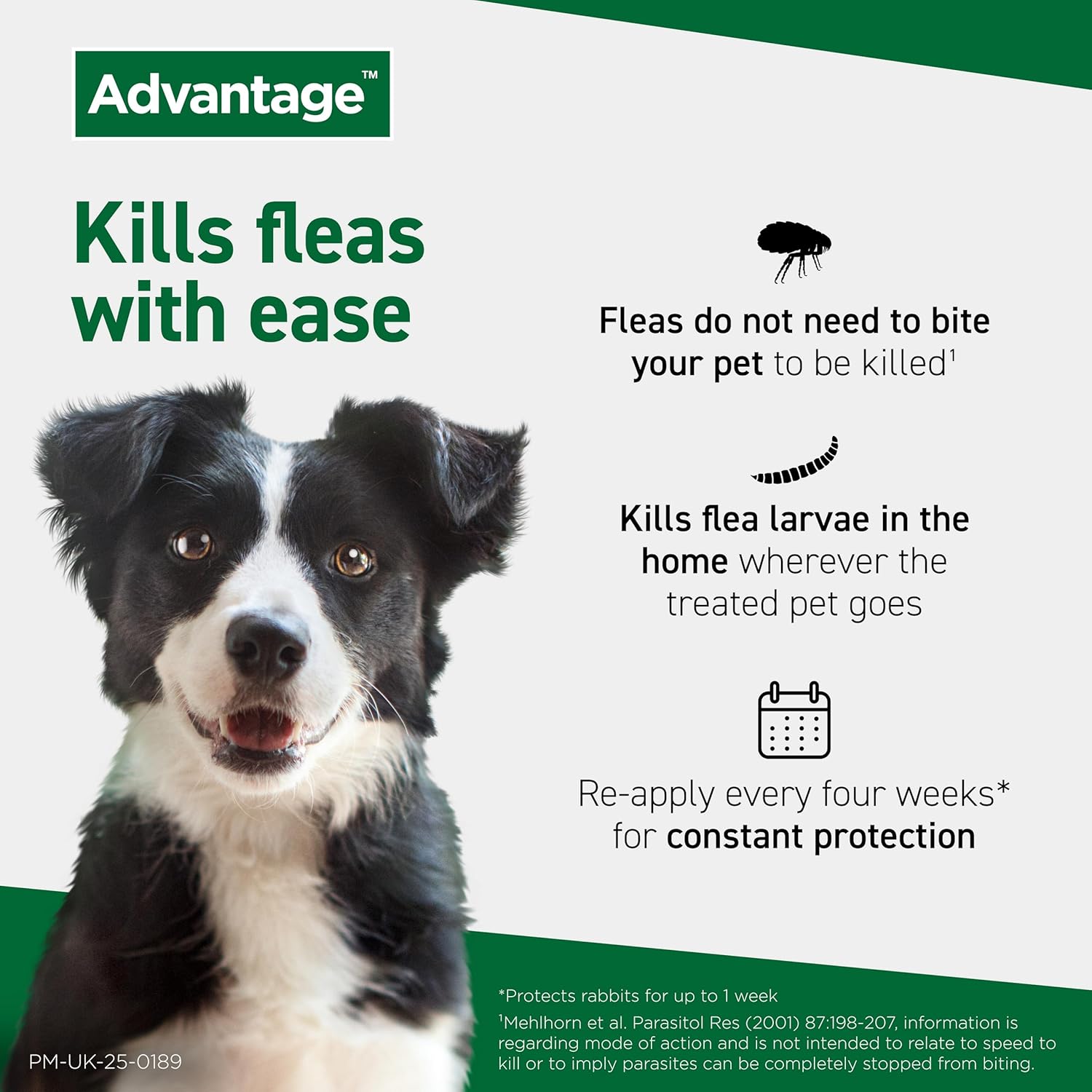 Advantage Spot On Flea Treatment For Cats, Dogs and Rabbits Under 4kg (4 pipettes, 40mg), Kills Fleas Within 24 Hours, Prevents Further Infestation For Up To Four Weeks in Cats and Dogs