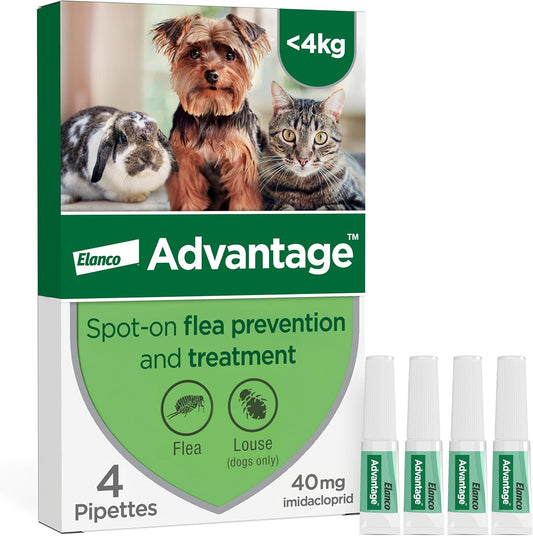 Advantage Spot On Flea Treatment For Cats, Dogs and Rabbits Under 4kg (4 pipettes, 40mg), Kills Fleas Within 24 Hours, Prevents Further Infestation For Up To Four Weeks in Cats and Dogs
